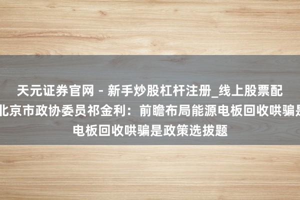 天元证券官网 - 新手炒股杠杆注册_线上股票配资官方开户 北京市政协委员祁金利：前瞻布局能源电板回收哄骗是政策选拔题
