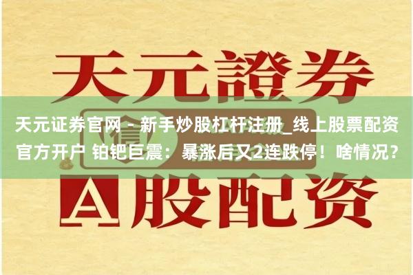 天元证券官网 - 新手炒股杠杆注册_线上股票配资官方开户 铂钯巨震：暴涨后又2连跌停！啥情况？