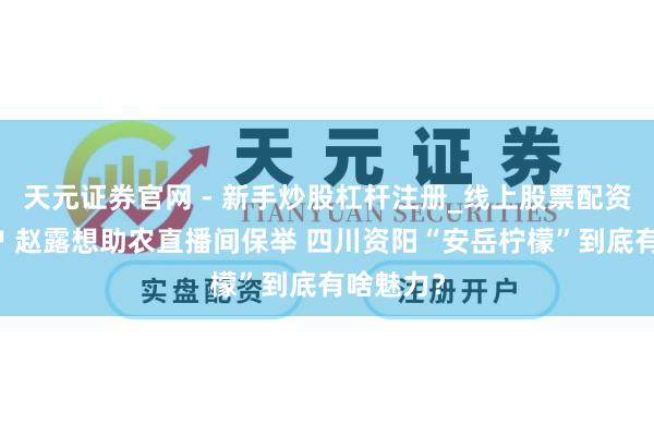 天元证券官网 - 新手炒股杠杆注册_线上股票配资官方开户 赵露想助农直播间保举 四川资阳“安岳柠檬”到底有啥魅力？